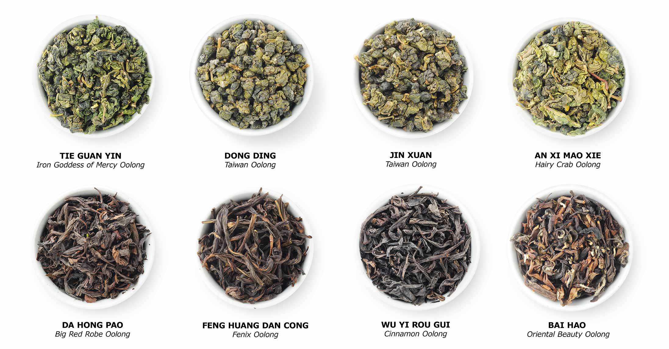 Herstellung von Oolong Tee – vom Welken der Teeblätter bis zur teilweisen Oxidation und Trocknung
