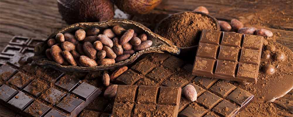 Bean-to-bar Schokolade
